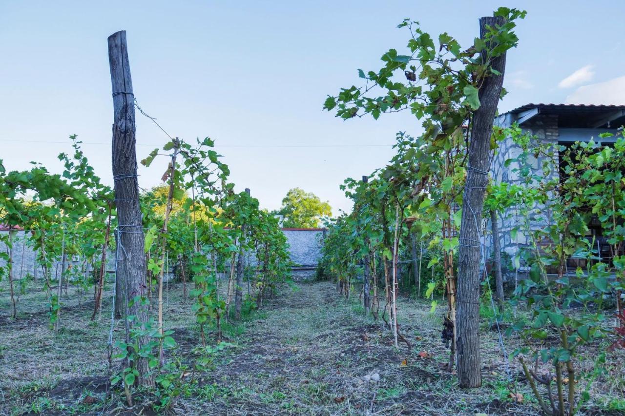 Kisi Garden Kisiskhevi Exterior photo